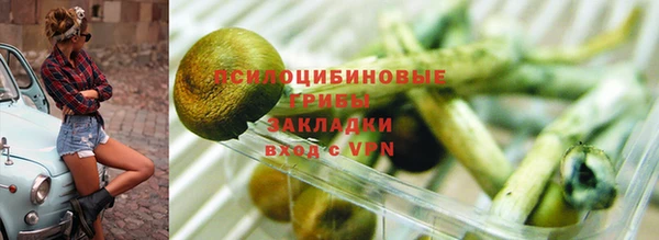 индика Надым