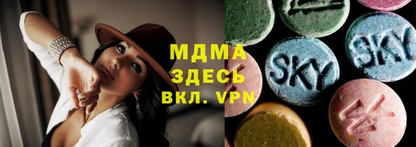 индика Надым