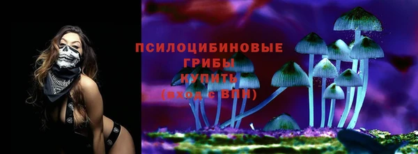 индика Надым