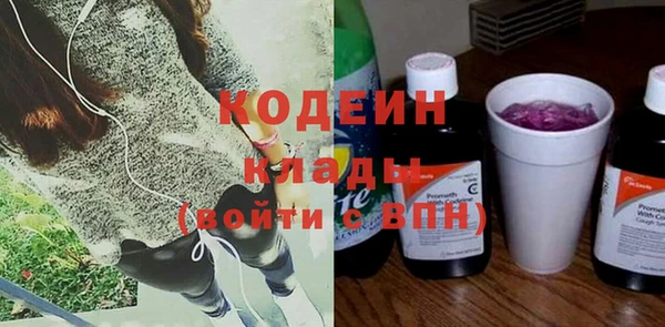 индика Надым
