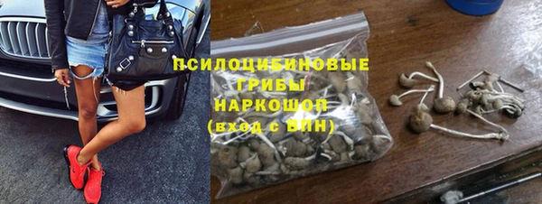 стаф Михайлов