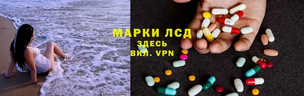 индика Надым