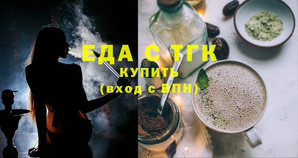 индика Надым