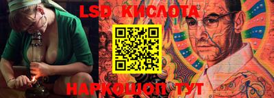 PSILOCYBIN Заводоуковск