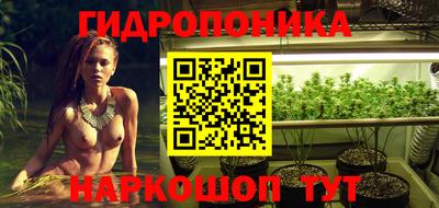 Альфа ПВП Жуковский