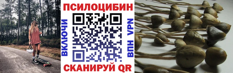 Галлюциногенные грибы MAGIC MUSHROOMS  shop телеграм  Искитим 